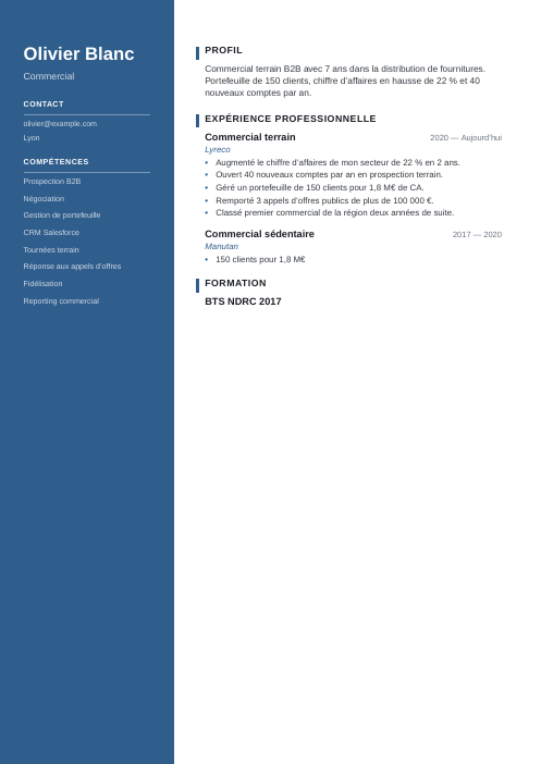 Modèle de CV professionnel : exemple de CV commercial