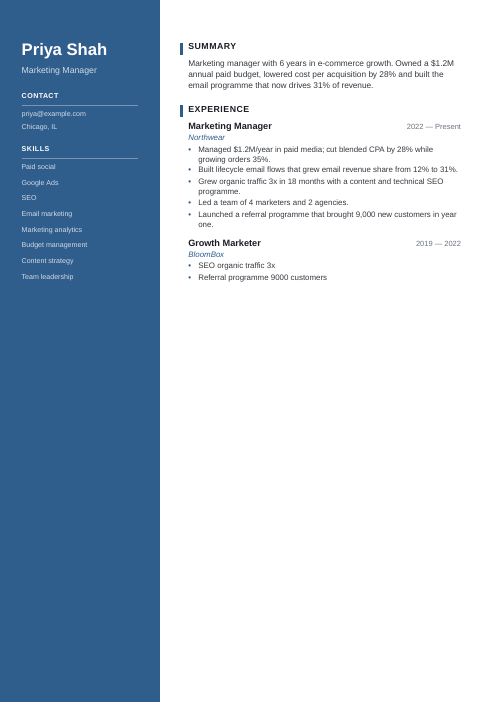 Professional Resume Template sample: Marketing Manager